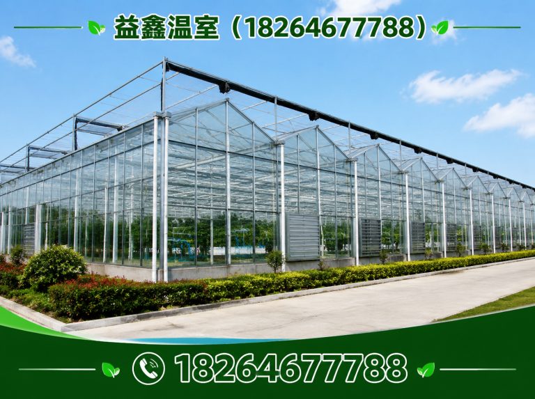 坊子区智能温室大棚展示图